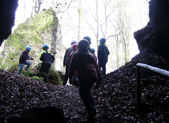 gerolstein4